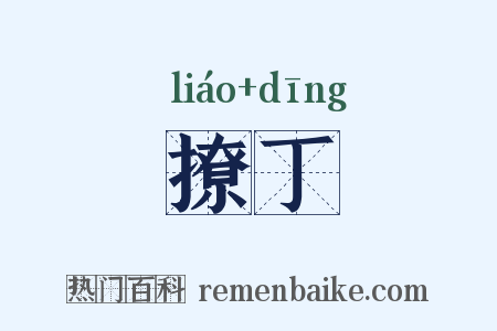 撩丁是什么意思的图片